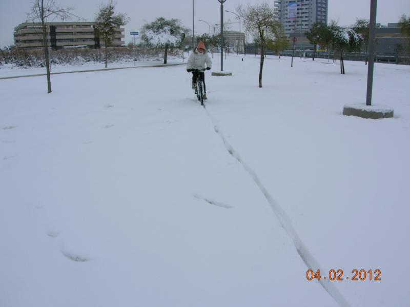 1328451476_2507_FT183677_dscn9121.jpg