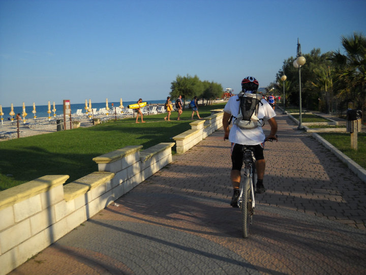 1282724761 1533 FT150031 Adriatica