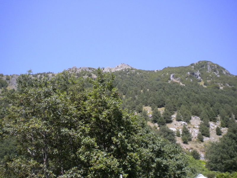 1284316481 2347 FT0 Dscn0344 Copia 