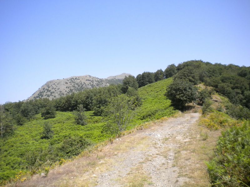 1284316482 2347 FT0 Dscn0354 Copia 