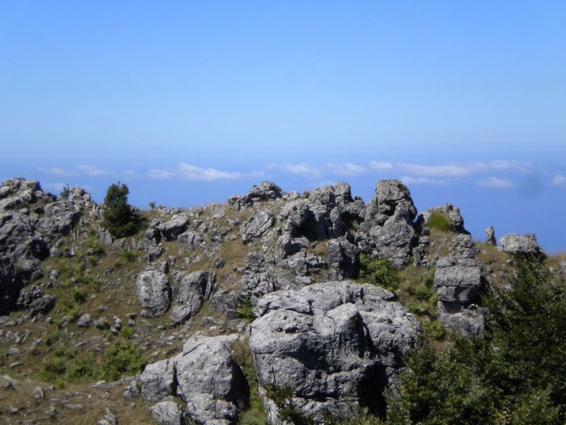 1284316482 2347 FT0 Dscn0361 Copia 
