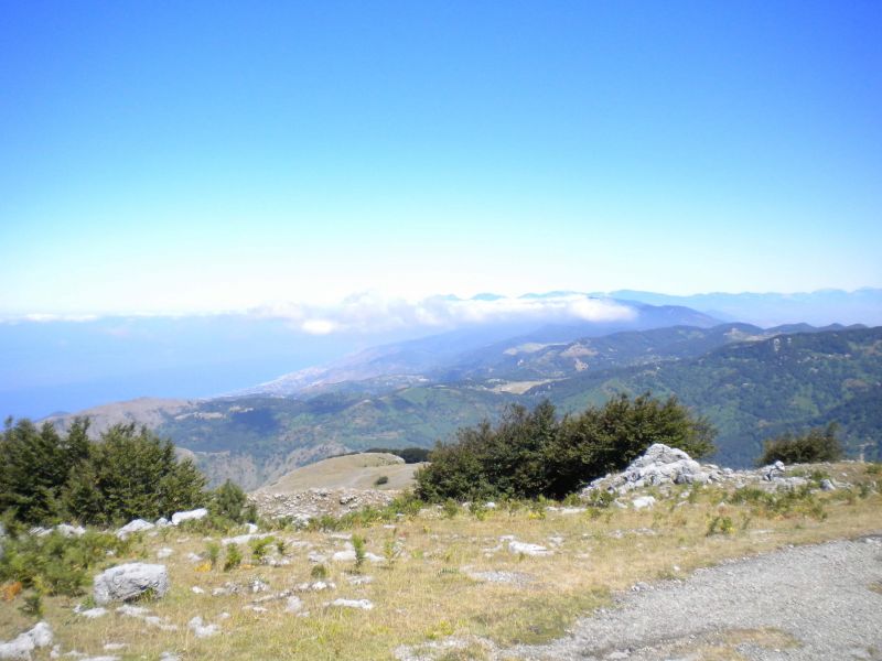 1284316482 2347 FT0 Dscn0362 Copia 