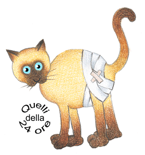 1285584602 2202 FT140569 Gatto Con