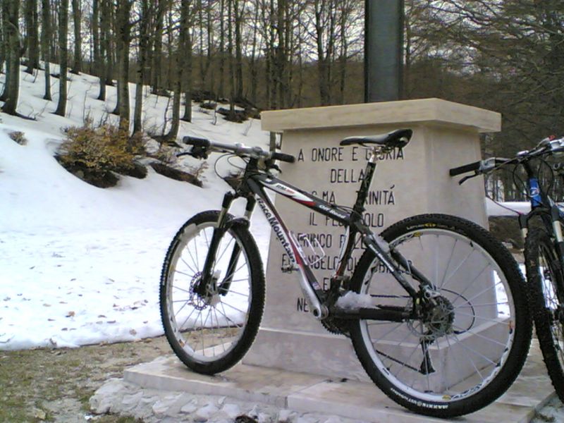 1293789910 1175 FT160697 Mteautore 