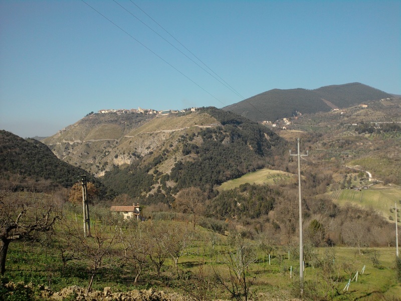 1298280705 2202 FT151803 Foto0075