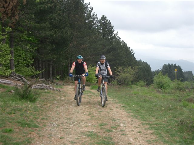 1300957177 2812 FT165861 Succisa 14 E 15  Maggio 2005 006