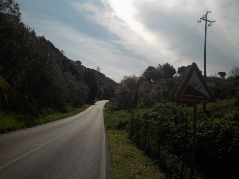 1302102087 2202 FT151803 Foto0333 
