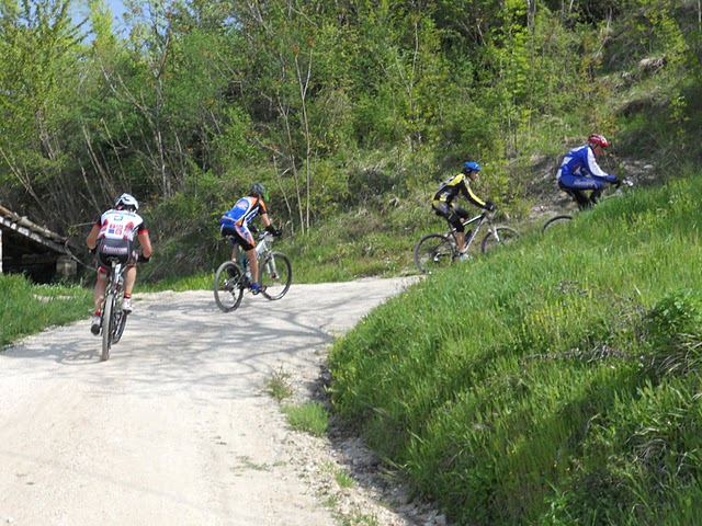 1303465319 1076 FT167661 Gf 9 Fossi 201104172 Classic Foto34