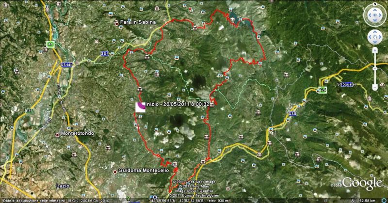 1306429717 2202 FT151803 Pianta 