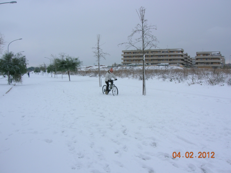 1328451477 2507 FT183677 Dscn9126