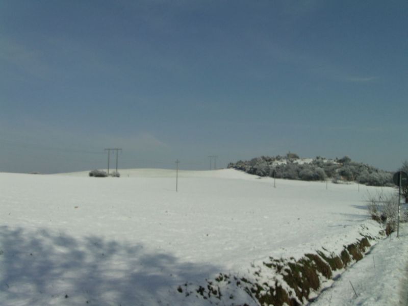 1329066121 2202 FT151803 Pic 0059 
