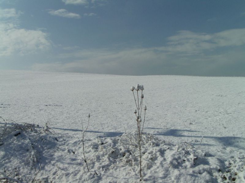 1329066121 2202 FT151803 Pic 0068 