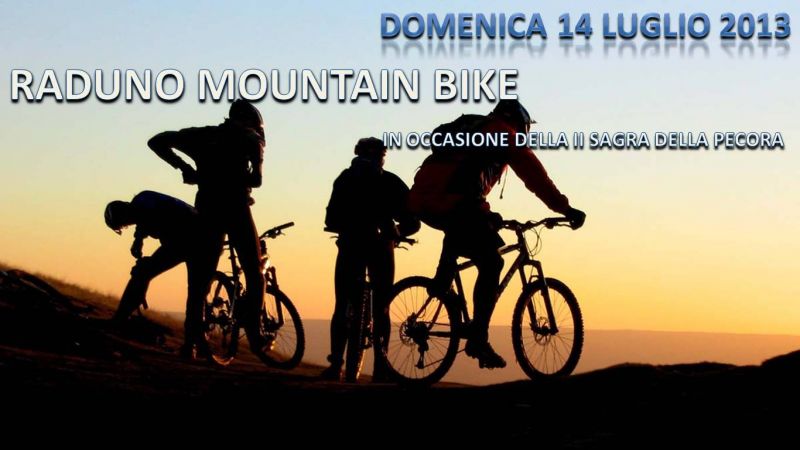 1373535322 996 FT0 Fabrica Mtb 