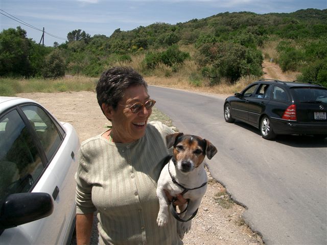 2006 028