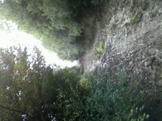 1384930453 3613 FT214376 Foto0372