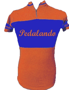 1394461425 2076 FT217082 Maglia1revsmall