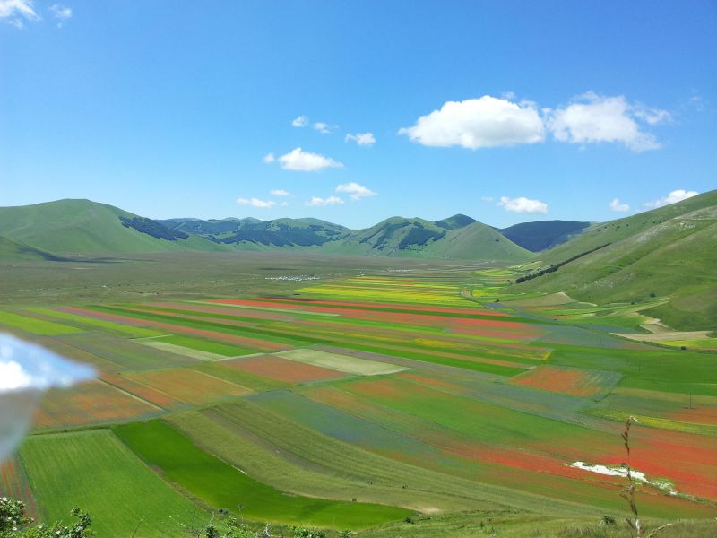1404722351 1491 FT220343 Sibilli2bis 