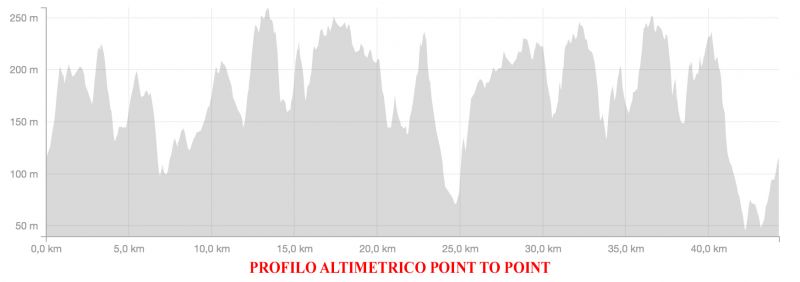 1462795207 4511 FT241994 Pofiloaltimetricopointtopoint 