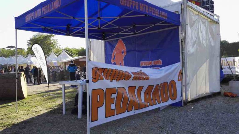 1493018524 4511 FT251333 Gazebo 