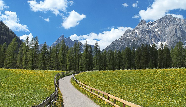 1526387309 3812 FT0 Pusteria
