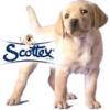 Scottex (exFSR)